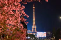 Góc Paris giữa lòng Đà Lạt khiến du khách mê mẩn