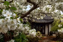 Người xưa dặn, tiết Xuân phân không làm 3 việc, xui xẻo tránh xa