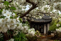 Người xưa dặn, tiết Xuân phân không làm 3 việc, xui xẻo tránh xa