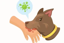 59.000 trường hợp tử vong vì dại mỗi năm, cách gì phòng tránh?