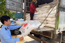 Nghệ An phát hiện, tạm giữ 3 tấn đường cát nhập lậu