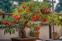 4 cây cảnh như ngọc quý ẩn trong đá, bảo vệ gia đình, hút lộc