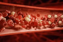 Giải pháp tự nhiên giúp làm sạch mạch máu, phòng bệnh tim