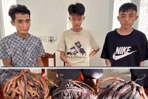 Bắt giữ 3 đối tượng trộm cắp tài sản của nhiều ngư dân ở Thanh Hóa