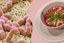 Nhiều địa phương ghi nhận nhiễm liên cầu lợn ở người, cách phòng tránh