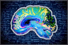 Não người thoái hóa sau nhiều ngày dùng ChatGPT