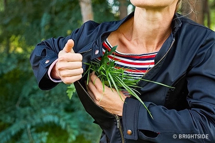 10 bí kíp thoát nạn trong hoàn cảnh “ngàn cân treo sợi tóc”