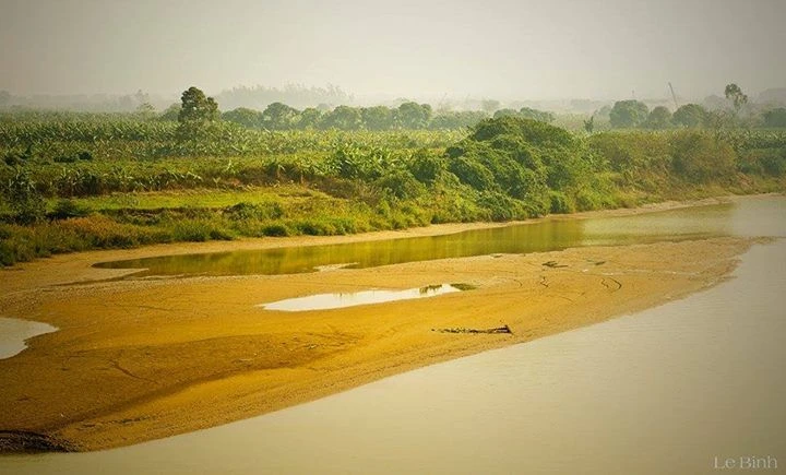 Hoàng Cầm vừa khóc vừa sáng tác Bên kia sông Đuống?