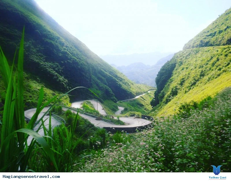 Thót tim với những khúc cua ở dốc Bắc Sum Hà Giang