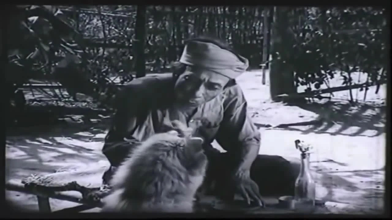 Vì sao Lão Hạc bán chó, bi kịch gì xảy ra sau đó?