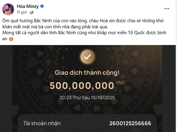 Hòa Minzy đóng góp 500 triệu đồng cho bà con Bắc Ninh. Ảnh: FB Hòa Minzy. hoa1.png