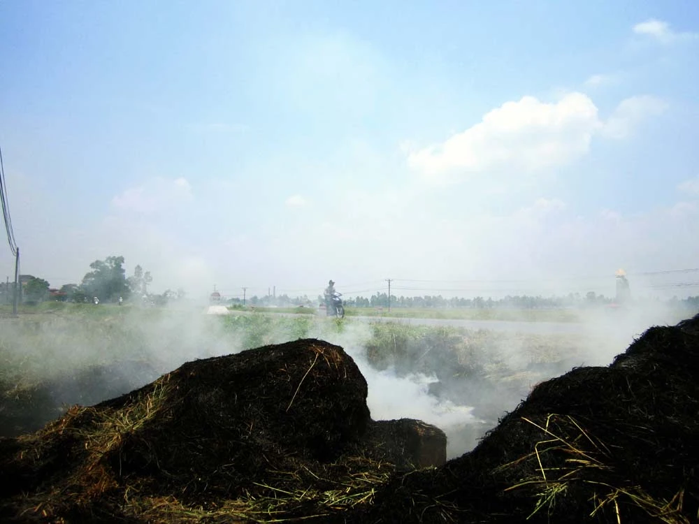 Đến hẹn, lại đốt rơm “hun khói” thủ đô