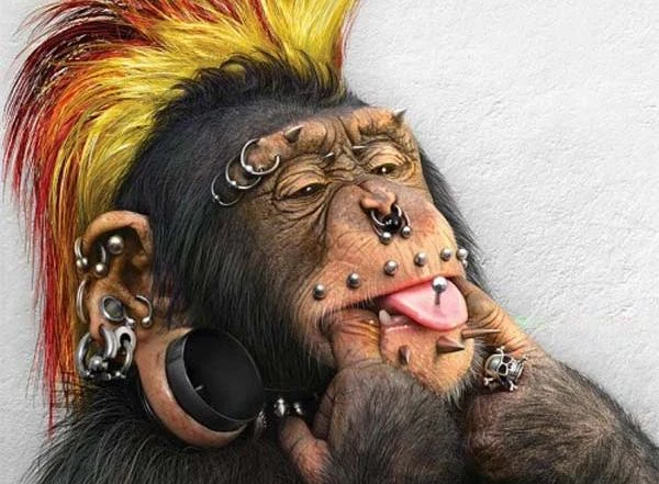  Ảnh siêu hài về động vật bị photoshop