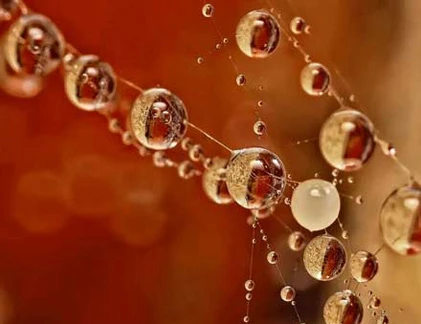 Những giọt nước lung linh