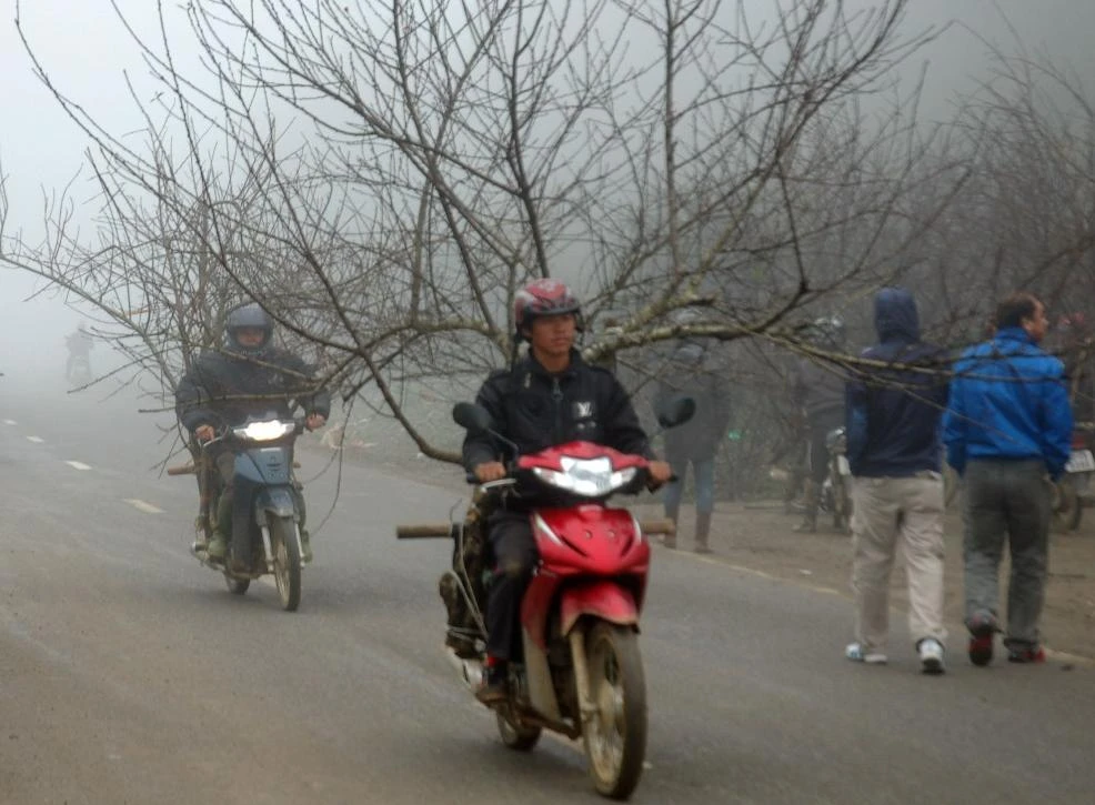 Rẽ sương mù thăm chợ đào rừng Lóng Luông 