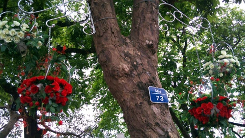 Hồ Gươm lộng lẫy... nhưng vắng như chùa Bà Đanh