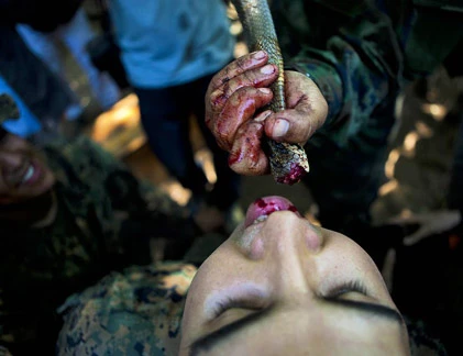 Lính Mỹ học cách sống sót trong rừng sâu