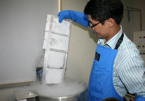 Tận mắt quy trình bảo quản tế bào gốc ở Việt Nam