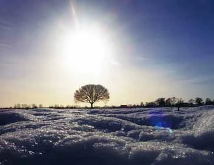 Bộ ảnh đẹp về chủ đề ánh sáng ban ngày