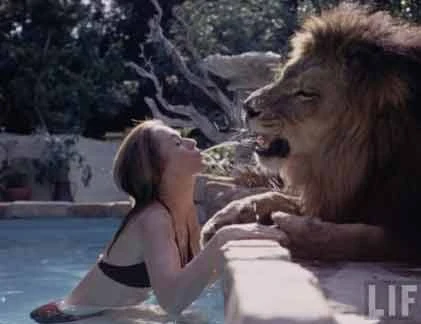 Những thú cưng “quái đản” của các quý cô