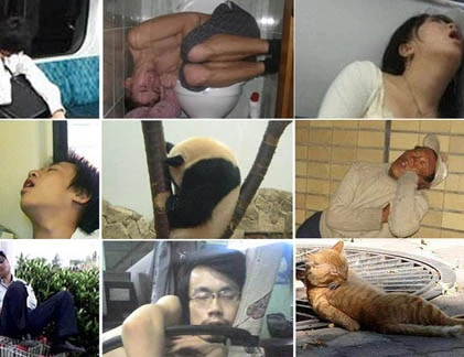 Những tư thế ngủ hài hước