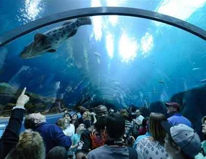 Những “ngôi nhà động vật” ấn tượng nhất thế giới