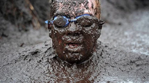 Ngập ngụa trong bùn chống ung thư