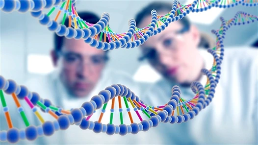 Tương quan khó tin giữa vẻ ngoài và bệnh tật