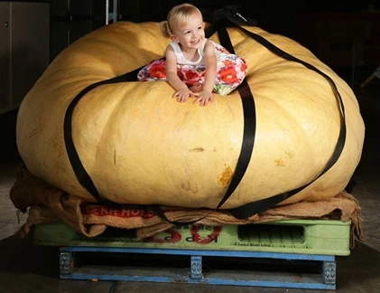 Thế giới trong tuần qua hình ảnh