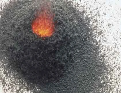 Hành trình tìm kiếm sự bất tử của loài người 