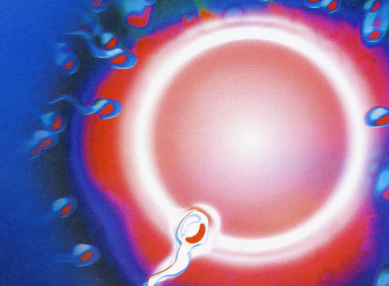 Dấu hiệu sớm nhất cho thấy bạn “dính bầu” 