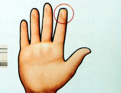“Bói” tính cách qua hình dáng ngón tay 