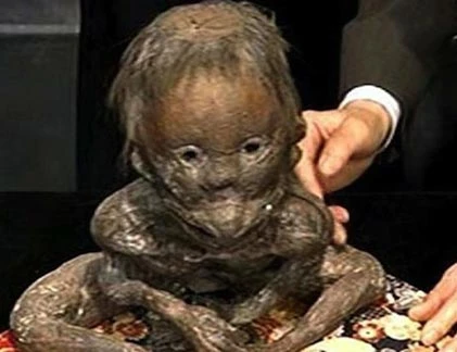 Sốc với những sinh vật kỳ lạ “hiếm có khó gặp“