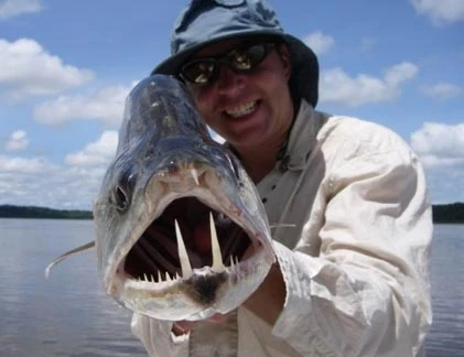 10 loài cá “giết người” tàn bạo nhất