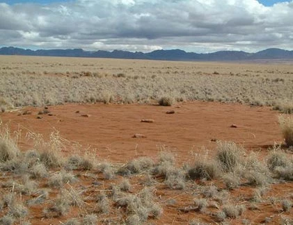 Vòng tròn kỳ dị trên sa mạc huyền bí nhất châu Phi