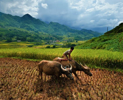 Sa Pa đẹp kỳ ảo qua ống kính nhiếp ảnh gia Thái Lan