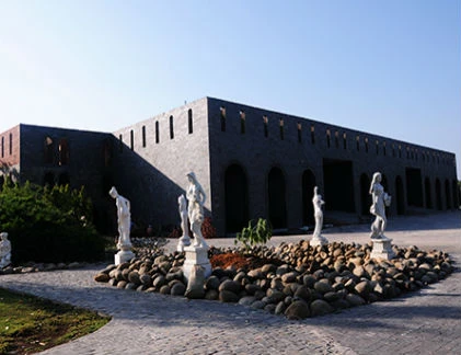 Lâu đài hoa lệ phong cách châu Âu của đại gia Sài Gòn