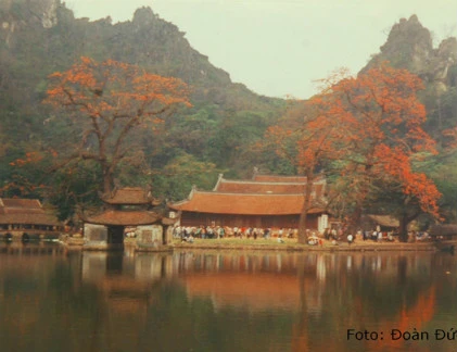 Những bức ảnh hiếm về chùa Thầy thế kỷ trước