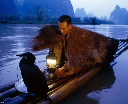 Kỳ lạ cảnh ngư dân đánh cá bằng... chim cốc