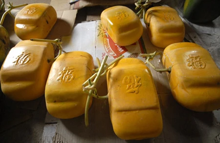 Cận cảnh những loại quả Tết “độc, lạ” năm Quý Tỵ