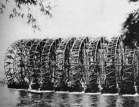 Chiêm ngưỡng “kỳ quan” tuyệt chủng ở VN