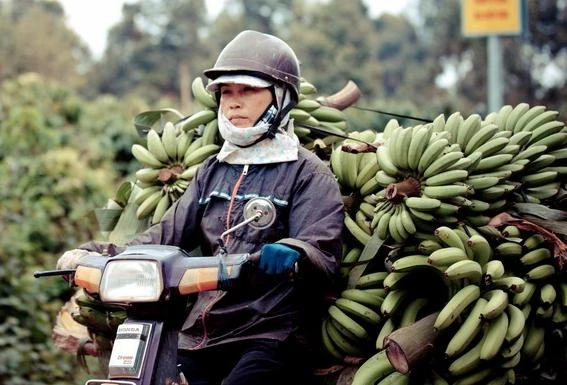 Chùm ảnh: “Xin chào Việt Nam” của phó nháy Australia 