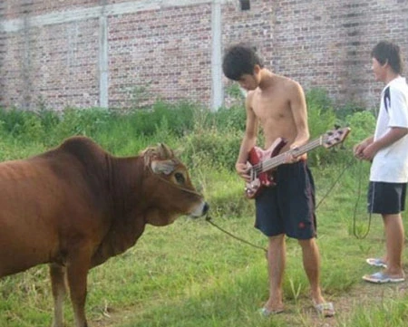 Một cách định nghĩa khác về “dân chơi“