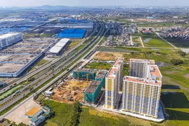 Biết gì Sông Đà Việt Đức làm dự án NƠXH hơn 974 tỷ?