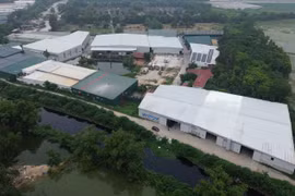 Bắc Ninh: Khoảng 260 cơ sở có dấu hiệu vi phạm về đất đai ở Phương Liễu