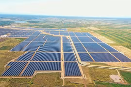 “Ém” thông tin, một tập đoàn bị phạt 85 triệu
