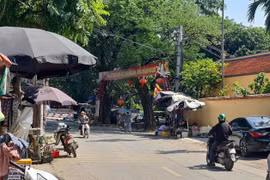 Hà Nội: Lấn chiếm vỉa hè làm nơi buôn bán, để cây cảnh