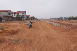 Biết gì BĐS Mai Vàng được giao hơn 1,1ha đất làm khu đô thị?
