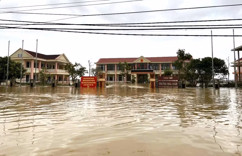 hoa-chau-1-1763342528855.jpg