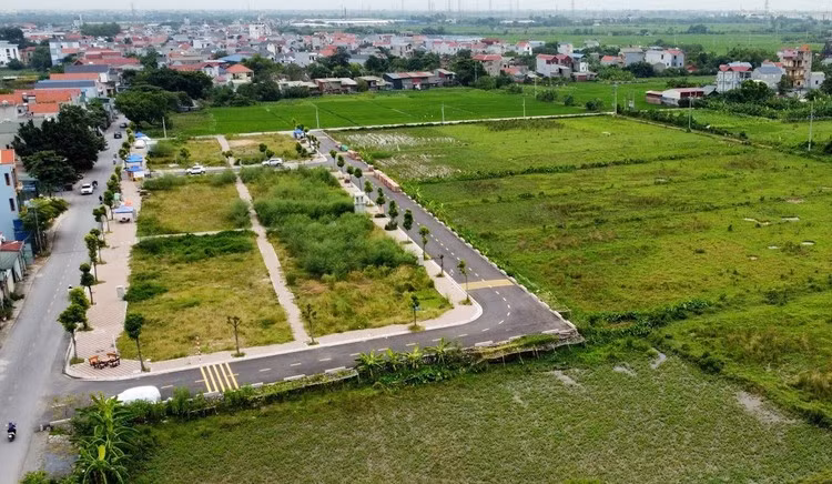 image-2.jpg